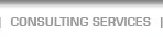 Consulting Services